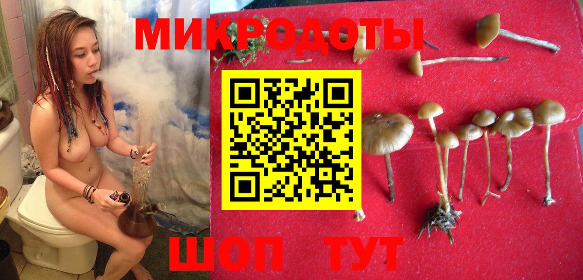 Галлюциногенные грибы MAGIC MUSHROOMS Кировск