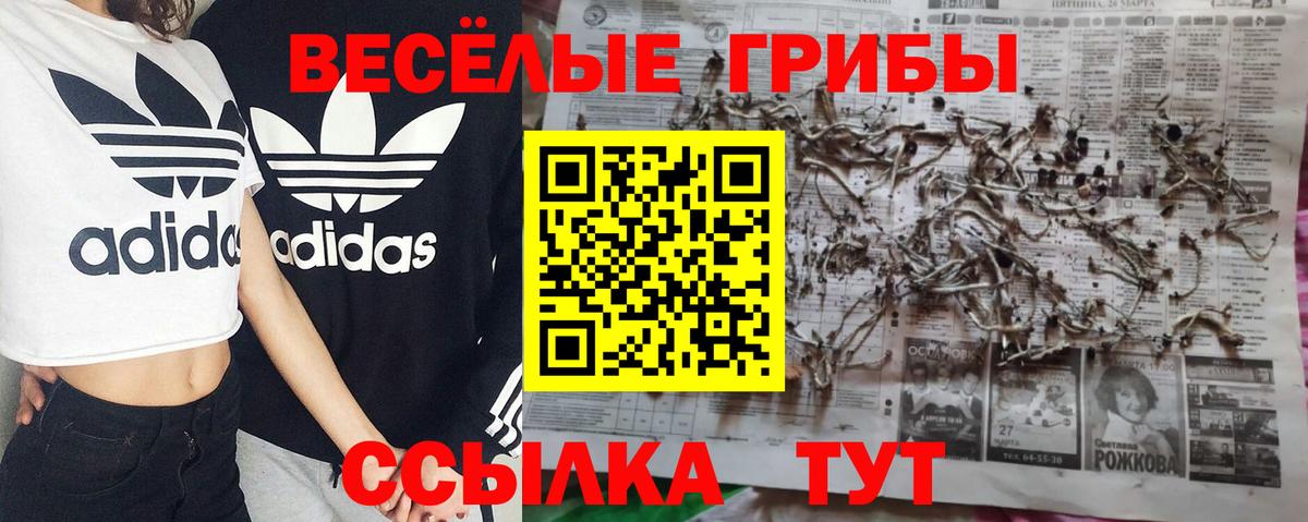 Псилоцибиновые грибы Cubensis  Галлюциногенные грибы прущие грибы  Вход с VPN  Кировск 